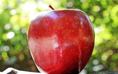STARTERS – Let’s learn how to describe an apple